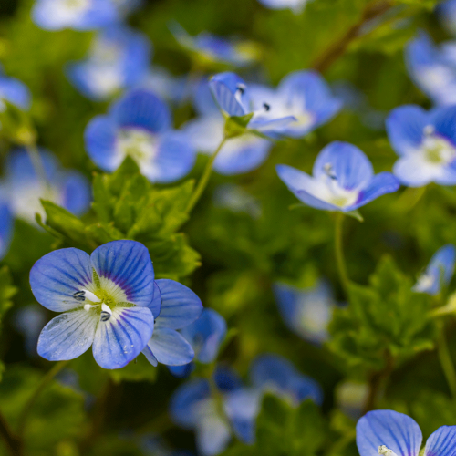 AdobeStock_734865098